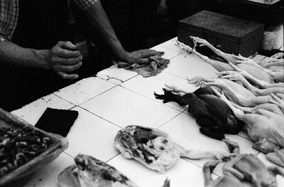 A white tile counter, dark hands holding a wipe and dressed out chicken combine in this photo from a market in Shanghai. Neatly lined up, a black chicken lies between the white ones and their legs seem to point like fingers at the man selling them.

I like the contrast and starkness, but also the implied neatness geometry of the photo.